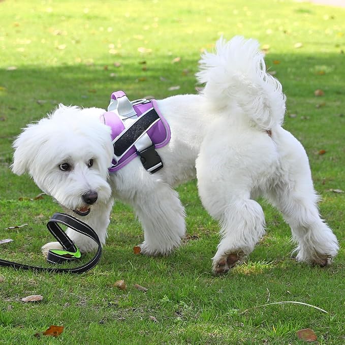 Dog Harness, No-Pull Reflective Dog Vest, Breathable Adjustable Pet Harness with Handle for Outdoor Walking - No More Pulling, Tugging or Choking (Lavender, X-Small (Pack of 1))