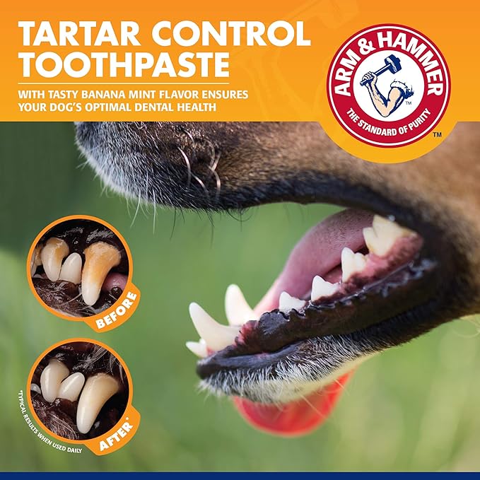 Arm & Hammer for Pets Tartar Control Dog Dental Care Kit, Banana Mint Flavor Toothpaste with Baking Soda, Double-Sided Toothbrush and Finger Brush Included, 2.5 Oz, 3-Piece
