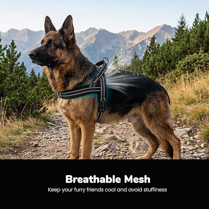 Didog No Pull Dog Harness with Breathable Mesh Padded,Reflective & Quick Fit Light Weight Dog Strap Vest Harness,Easy for Walking Training (L:Chest 26-32", Mesh-Black)