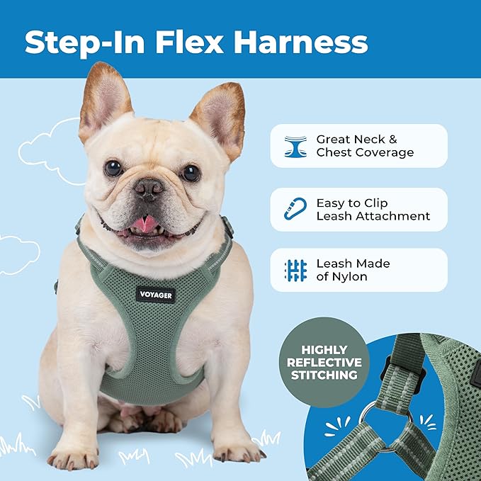 Best Pet Supplies Voyager Adjustable Step-in Flex Breathable Mesh Dog Harness for Small Medium Large Dogs Moss Green, L