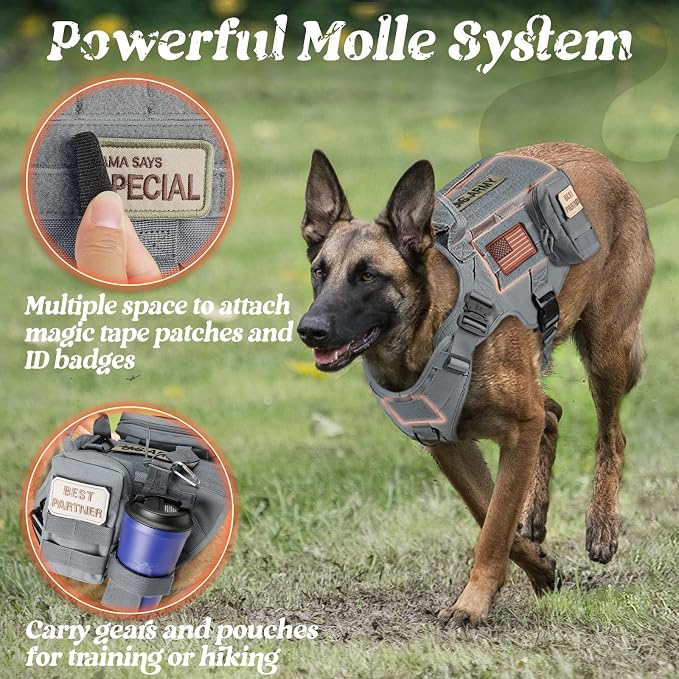 rabbitgoo Tactical Dog Harness Medium Sized, Heavy Duty Pet Harness with Handle, No-Pull Service Vest Medium Breed, Adjustable Military Dog Vest for Training Hunting Walking, Grey, M