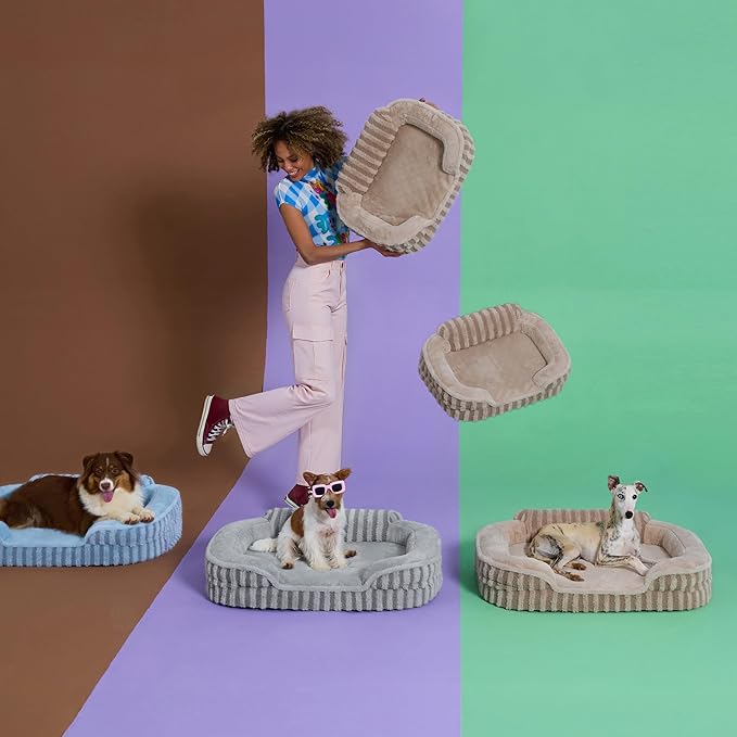 LE SURE Cute Dog Bed for Small Dogs, Orthopedic Waterproof Small Pet Beds with Sides, High Back Non-Slip Bottom and Egg-Crate Foam Puppy Couch Sofa with Washable Removable Cover, Blue