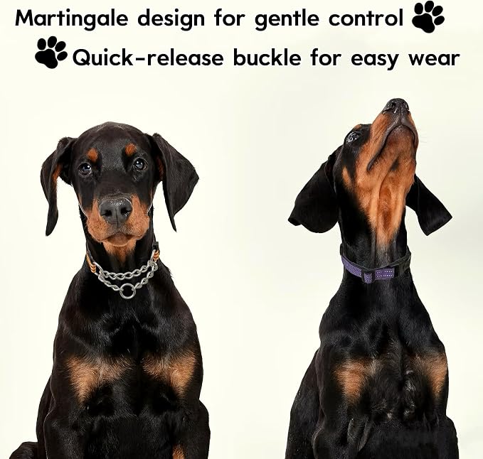 Martingale Dog Collars, Reflective Nylon Collar with Stainless Steel Chain, Adjustable Walking Training Dog Collars with Quick Release Buckle, Suitable for Small Medium Large Dogs(Purple,XL)