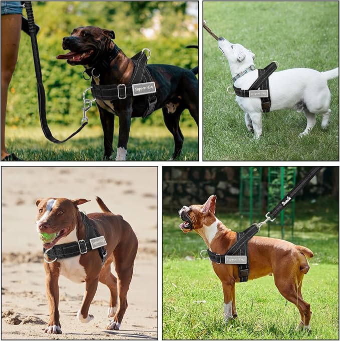 Lukovee No Pull Dog Harness and Leash Set - Adjustable Soft Padded Vest with Front Clip for Easy Control, Reflective Durable Harness for Safe Daily Training Walking for Medium Large Dogs (M, Black)