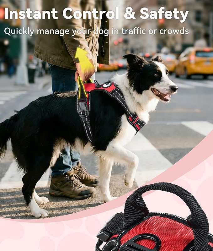 Joytale No Pull Dog Harness for Small Dogs, Reflective Pet Vest with Front Clip, Adjustable Soft Padded Harnesses with Easy Control Handle for Training and Walking, Red, S