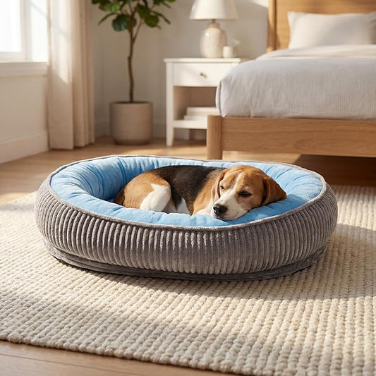 Calming Dog Bed for Medium Dogs 26"x19" - Orthopedic Washable Pet Bed with Anti-Slip Bottom, Indoor Soft Cat Bed with Removable Cover (Sky Blue)