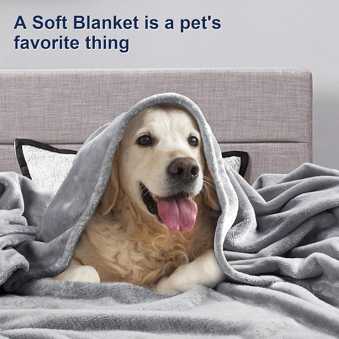 DREAMNINE Pack of 10 Soft Fuzzy Fleece Throw Blanket for Couch Sofa 50" x 60", Decorative Solid Lightweight Velvet Blankets for Chair, Cozy Accent Shaggy Plush Flannel Blanket for Bedroom, Grey