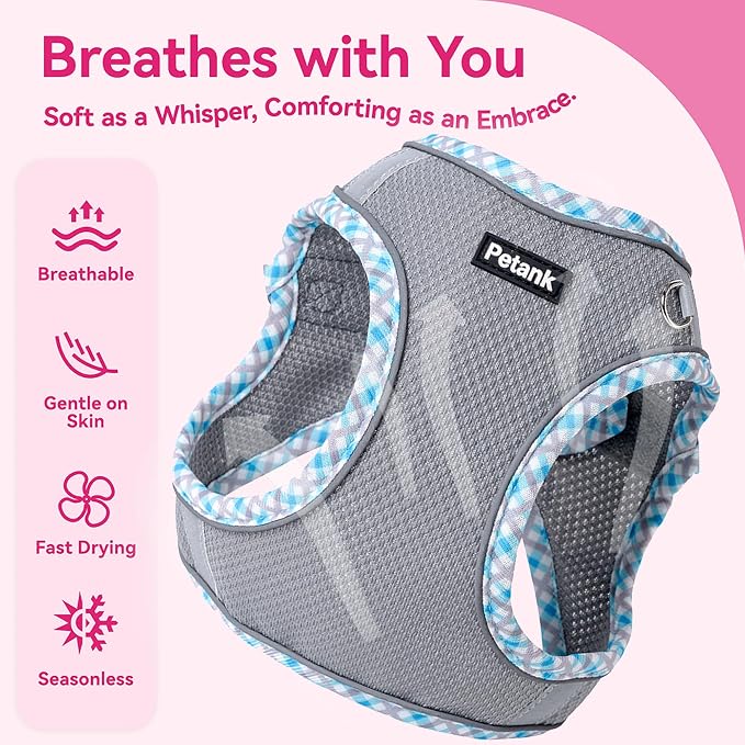 Petank Dog Harness for Small Medium Dogs No Pull, Puppy Harness and Leash Set for Walking, Running, Training, Small Dog Harness, Medium Dog Harness (Grey, M)