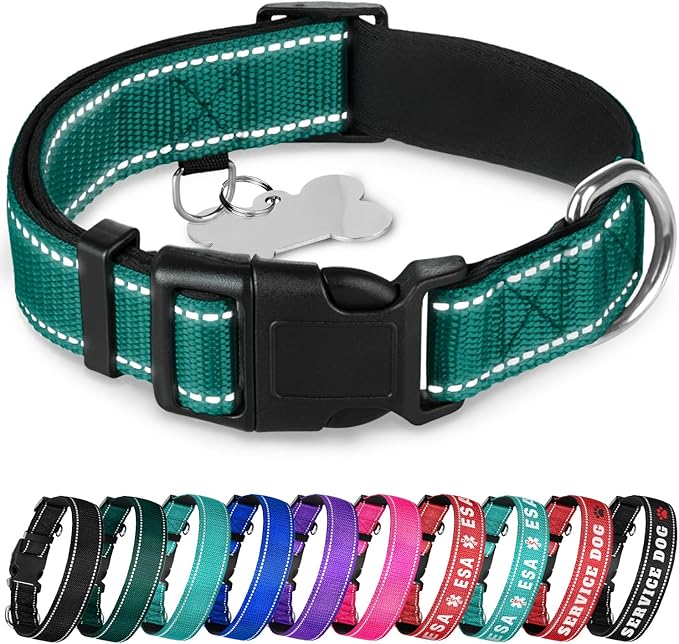 TECEUM Reflective Dog Collar – Dark Emerald Green – L – Extra Soft Padding – Basic Nylon Pet Collar – Quick Release Buckle – Fits Small, Medium and Large Dogs, Puppies, Cats
