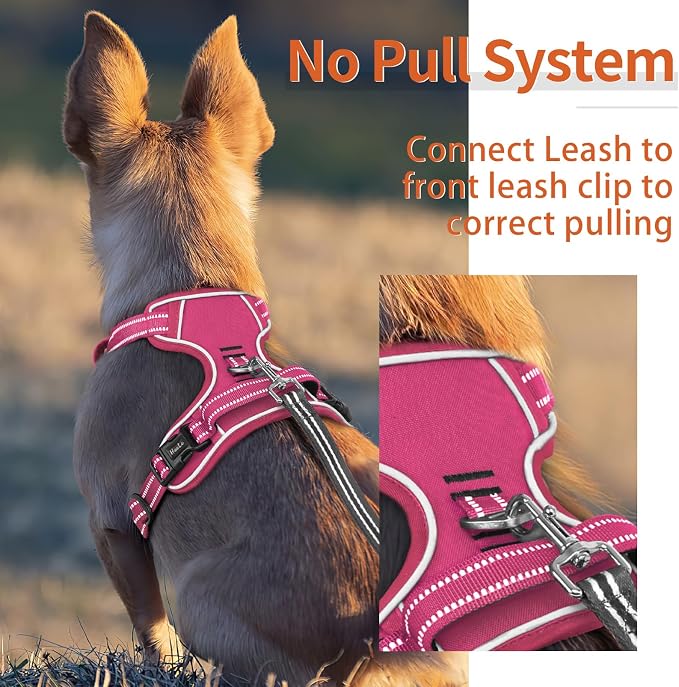 HEELE Dog Harness for Medium Dogs No Pull Dog Vest Harness with Soft Padded Handle Reflective for Outdoor Training, Rose(Matching Trim), M