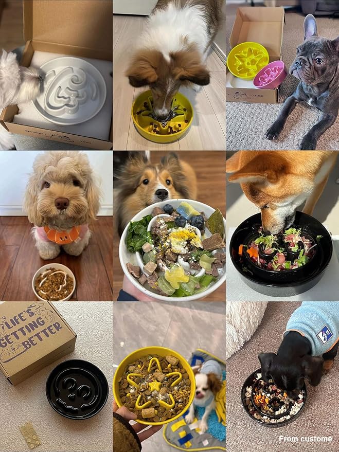 LE TAUCI Ceramic Slow Feeder Dog Bowls Small Breed, 0.6 Cups Dog Food Dish for Fast Eaters, Puzzle Bowl for Small Dogs and Cats,Skull Black