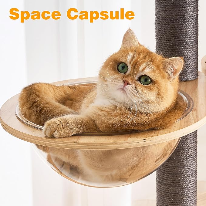HITTITE Solid Wood Cat Tree Tower with Scratching Post, 61 Inches Tall Cat Towers with Capsule and Condo, Modern Cat Tower with Hammock and Removable Top Bed for Indoor Cats.Grey