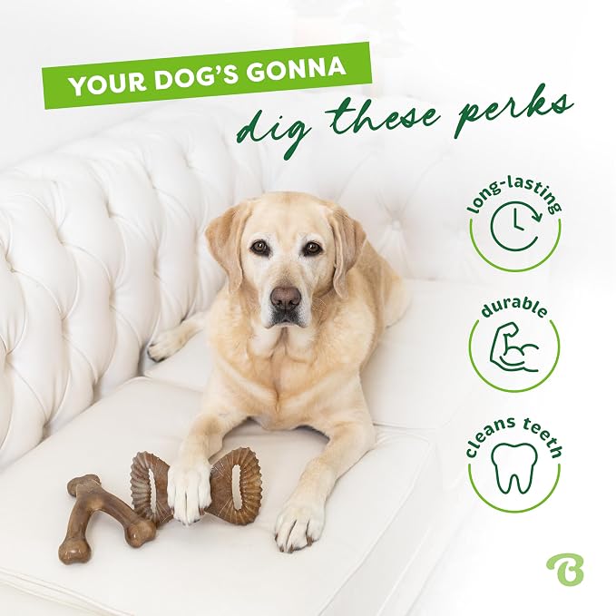 Benebone 2 Count (Pack of 1) Wishbone/Dental Durable Dog Chew Toys, Real Bacon, Made in USA, Small