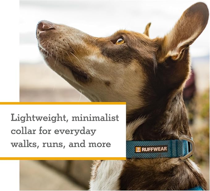 Ruffwear, Hi & Light Dog Collar, Ultralight Quick Release Buckle, Adjustable Trail Running Polyester Collar with Silent ID Attachment, Basalt Gray, 14"-20"