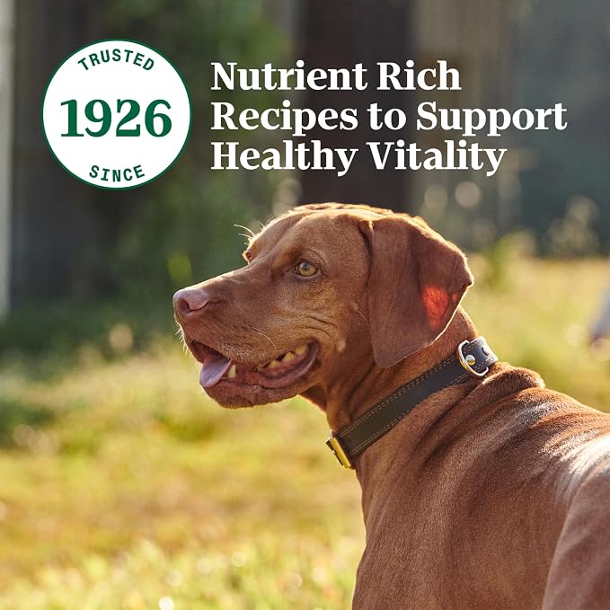 Nutro Adult Wet Dog Food, Natural Grain Free Dog Food Wet Cuts in Gravy Savory Lamb & Vegetables Stew Recipe, 3.5 oz. Trays (Pack of 24)