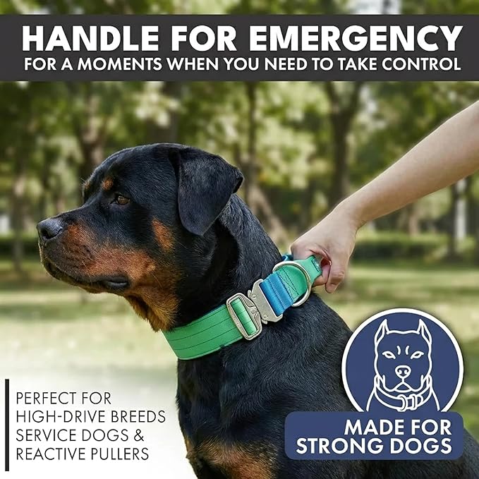 Spark Paws Tactical Dog Collar - Heavy Duty, Premium Quality, Thick and Durable for Large and Medium Dogs - Lime Wave - M