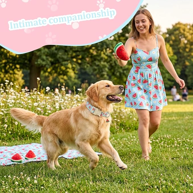 Summer Dog Collar, Cute Light Blue Puppy Collar with Watermelon Pattern, Cotton Adjustable Dog Collars for Small Medium Large Dogs, Gift for Boys Girls Dogs-L