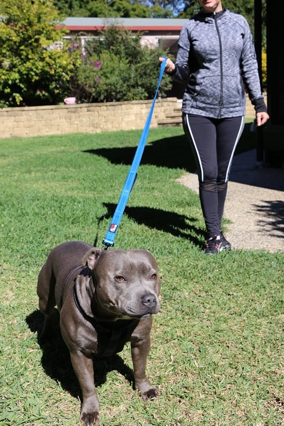 Primal Pet Gear Dog Leash 8ft Long - Blue - Traffic Padded Two Handle - Heavy Duty - Double Handles Lead for Control Safety Training - Leashes for Large Dogs or Medium Dogs - Dual Handles Leads