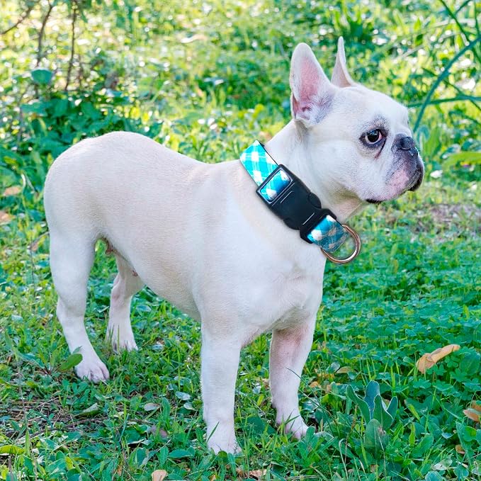 Ladoogo Reflective Dog Collar Padded with Soft Neoprene Breathable Adjustable Nylon Dog Collars for Small Medium Large Dogs (X-Small (Pack of 1), Vivid Blue Plaid Collar+Leash)