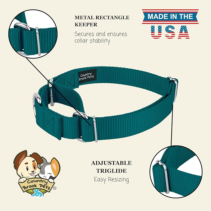 Country Brook Petz - Martingale Dog Collar - Heavy-Duty Training Collar with No Buckle - Service Dog Collar for All Pups - 20 Vibrant Colors (Teal, 3/8 Inch, 2XS)