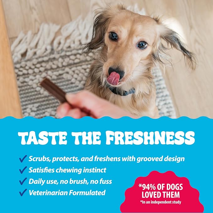 Dental Fresh Dental Treats for XS Dogs, Vet-Formulated Teeth Cleaning Dental Sticks to Help Reduce Plaque and Tartar and Freshen Breath, 64 Count Brush Free Dental Chews for Dogs up to 10 lbs