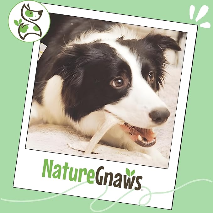 Nature Gnaws USA Deer Antlers for Dogs 4-7" (3 Count) - Mix of Split and Whole Pieces - Long Lasting for Small and Medium Breeds - Natural Dog Chew Bones