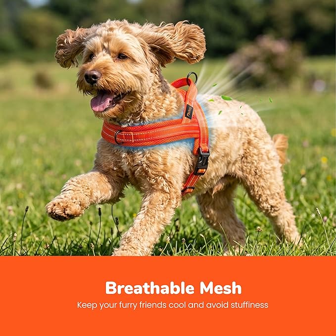 Didog No Pull Dog Harness with Breathable Mesh Padded,Reflective & Quick Fit Light Weight Dog Strap Vest Harness,Easy for Walking Training (S:Chest 18-22", Orange)