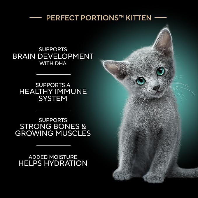 Sheba Perfect Portions Kitten Wet Food,Pate Cat Food Wet Entree,Chicken Recipe and Salmon Recipe,2.6 oz. -Pack Trays (,24 Servings),12 Count (Pack of 4)