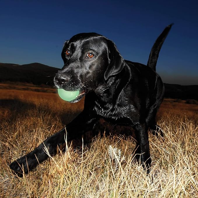 Chuckit! Glow in the Dark Bouncy Balls - Ball for Dogs, Chuckit Dog Toy, Max Glow Balls - Medium, 2.5 Inch, Pack of 4