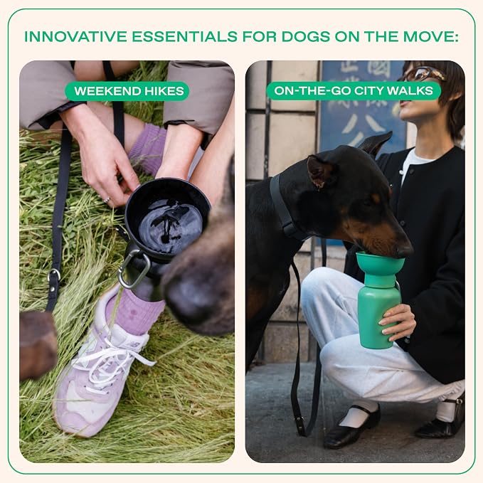 Springer Flip Dog Water Bottle | Portable Drinking Feeder with Foldable Food-Grade Silicone Bowl | One-Hand Squeeze & Leak-Proof | BPA-Free 20oz | Walking, Hiking & Camping | Puppy Essentials
