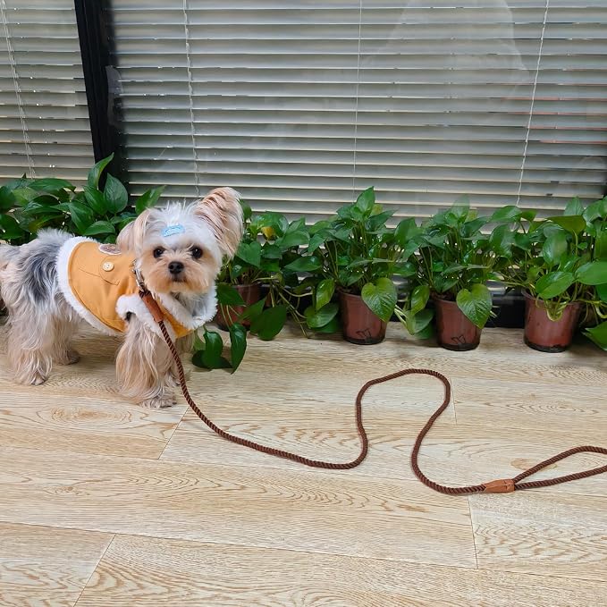 5FT Cotton Puppy Leash for Small Dogs - 1/5" Braided Dog Leash Lightweight & Soft Rope for Tiny Breeds/Cats Daily Walks Training, Coffee