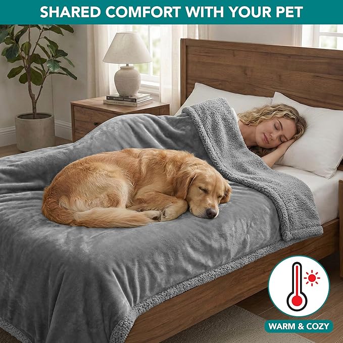 PetAmi Waterproof Dog Blanket for Couch, Extra Large 80x60, Pee Proof Sherpa Fleece Reversible Pet Throw, Furniture Protector for Bed Sofa Crate Kennel, Soft Washable Cover for Dog Cat, Light Grey