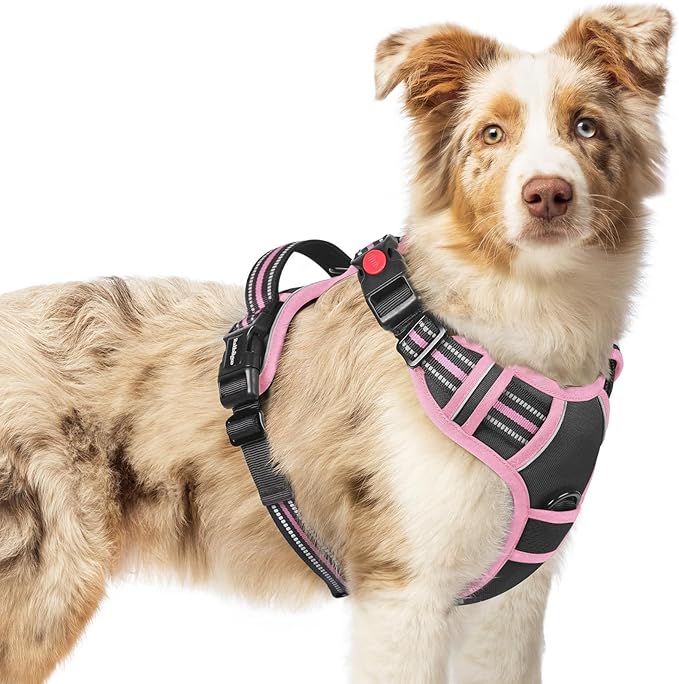 rabbitgoo Dog Harness Medium Sized, No Pull Easy On & Off with 3 Buckles Pet Harness, Adjustable Soft Walking Vest with 2 Clips and Handle, Reflective for Medium Dogs, Black & Pink, M