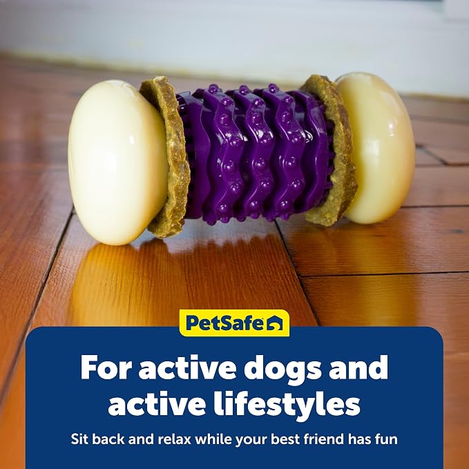 PetSafe Busy Buddy Nobbly Nubbly Treat Holding Dog Toy Strong Chewers Large