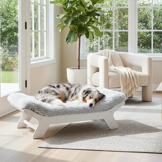 Muihood Wood Elevated Dog Bed Frame and Egg Crate Foam Mattress, Luxurious Suitable for Pets Up to 80 lbs, White, L