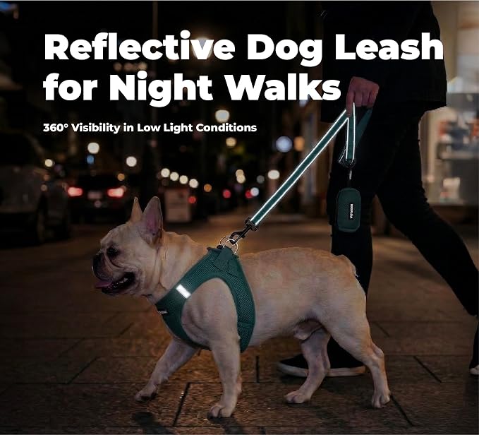 Best Pet Supplies Voyager Reflective Dog Leash or Collar with Neoprene Handle, for Small, Medium, and Large Breed Puppies, Cute and Heavy Duty for Walking, Running and Training - Turquoise (Leash), M