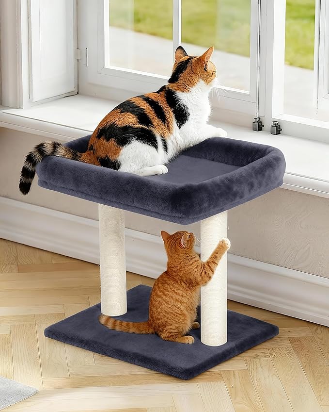 Cat Tree with Large Top Perch Bed (19"×15.8"), Small Cat Tower with Scratching Post for Indoor Cats, Dual Natural Sisal Scratcher,Space-Saving,Removable Bed (Dark Gray)