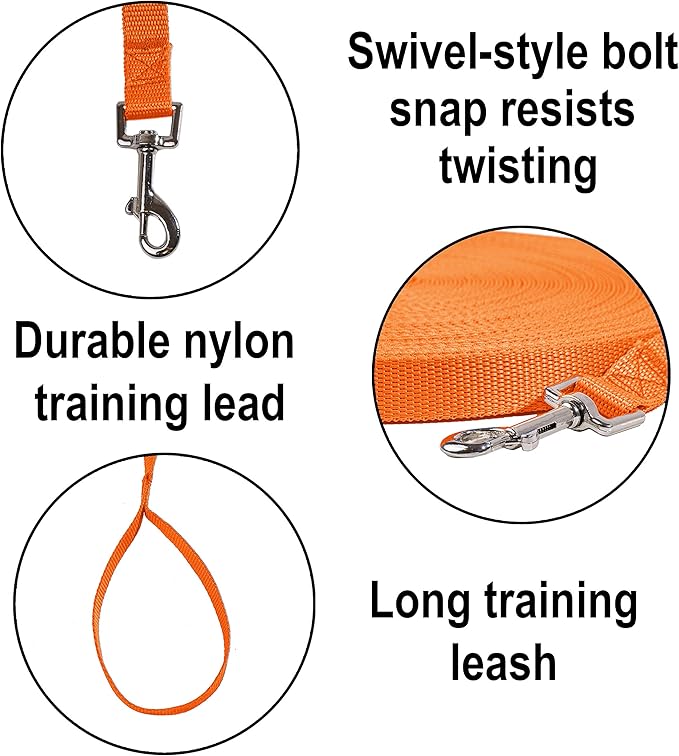 Hi Kiss Dog/Puppy Obedience Recall Training Agility Lead - 15ft 20ft 30ft 50ft 100ft Leash - Great for Training, Play, Camping, or Backyard - Orange 50ft