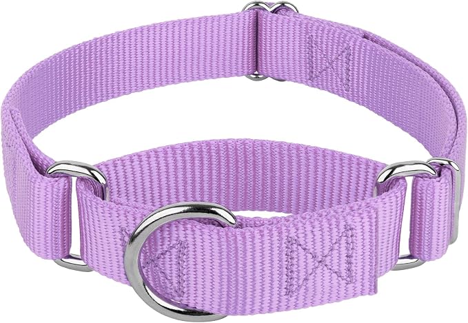 Country Brook Petz - Martingale Dog Collar - Heavy-Duty Training Collar with No Buckle - Service Dog Collar for All Pups - 20 Vibrant Colors (Lavender, 1 Inch, Extra Large)