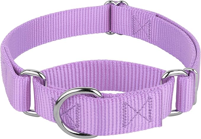 Country Brook Petz - Martingale Dog Collar - Heavy-Duty Training Collar with No Buckle - Service Dog Collar for All Pups - 20 Vibrant Colors (Lavender, 1 Inch, Large)