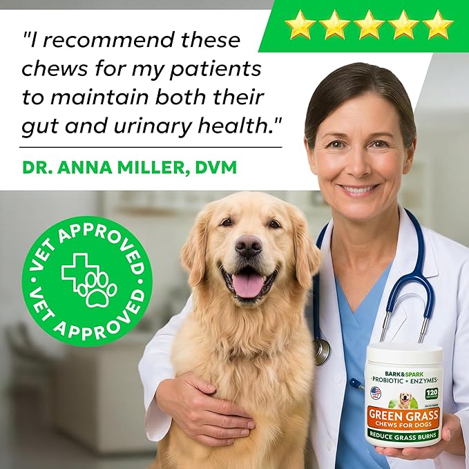 BARK&SPARK Green Grass Dog Chews – Dog Pee Grass & Urine Neutralizer for Lawn, Grass Burn Spot Chews with Probiotics & Enzymes, Helps Reduce Lawn Burn from Dog Urine (120 Soft Chews)
