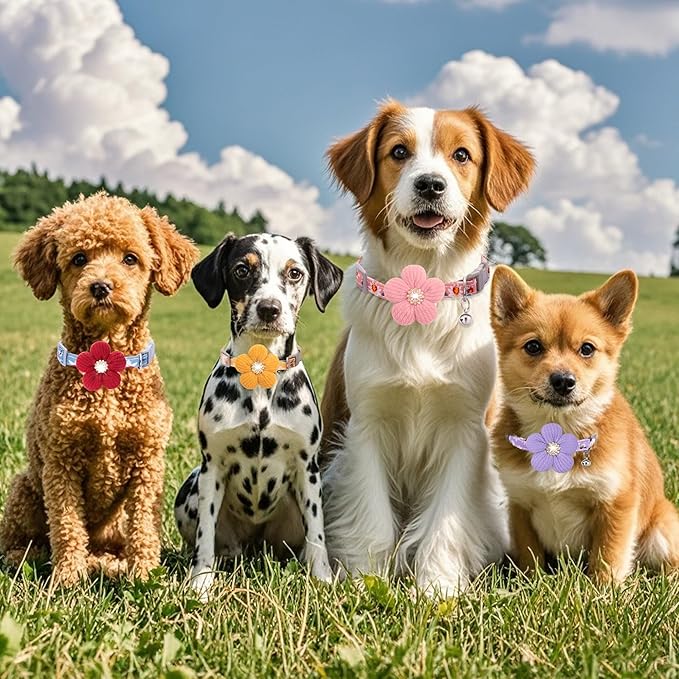 Small Dog Collar with Flower, Spring Dog Collar for Girl Dog Collars for Small Dogs Cute Dog Collar with Bell, Adjustable Length