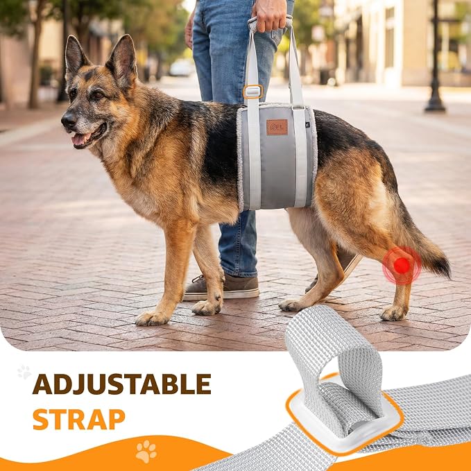 Adjustable Dog Lift Harness Dog Sling for Large Dogs Hind Leg Support Soft Lift Support for Weak Rear Legs, Helps Senior, Injured, Disabled, After ACL Surgery Dogs (Grey&Grey, X-Large)