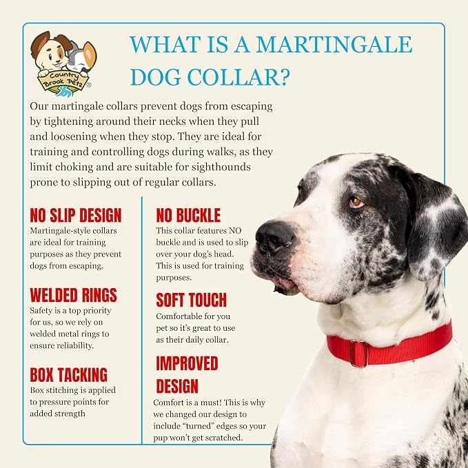 Country Brook Petz - Martingale Dog Collar - Heavy-Duty Training Collar with No Buckle - Service Dog Collar for All Pups - 20 Vibrant Colors (Red, 1 Inch, Medium)