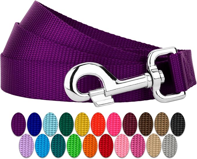 Country Brook Petz - Everyday Nylon Dog Leash - Strong, Durable, Solid Color Leash with Easy to Use Snap - 25+ Colors (1 Inch Wide, 4 Foot, Purple)