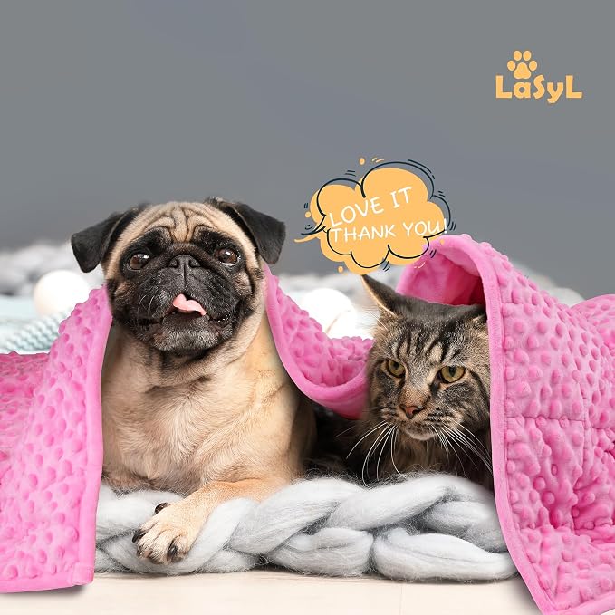 LaSyL Weighted Blanket for Pets | Thunder Blanket for Dogs Anxiety | Premium Soft Minky | Relaxation & Calming & Anti Anxiety | Used in Car, Bed, Couch | Pink, Washable Small (24"x32")