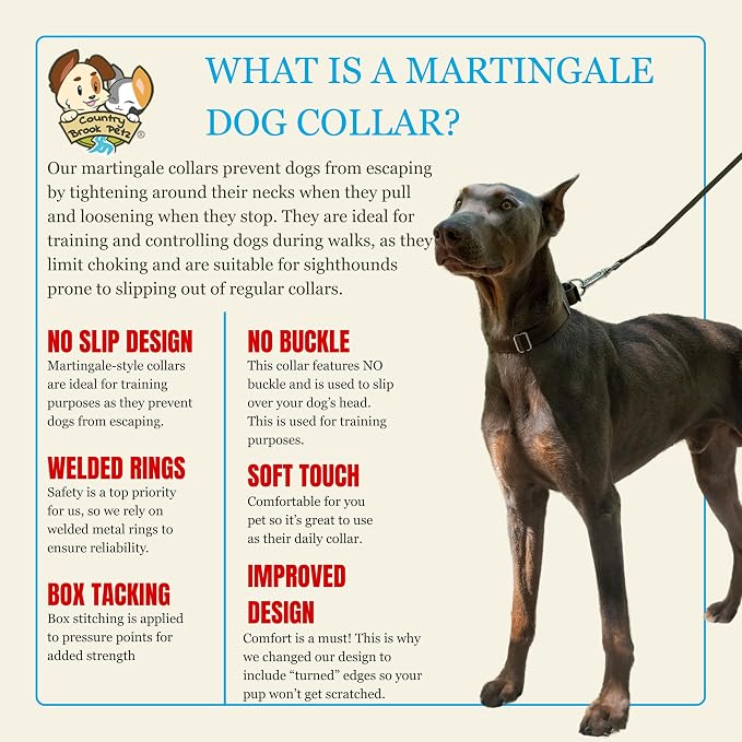 Country Brook Petz - Martingale Dog Collar - Heavy-Duty Training Collar with No Buckle - Service Dog Collar for All Pups - 20 Vibrant Colors (Brown, 1 Inch, Large)