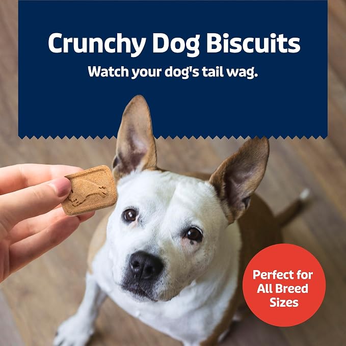 Blue Buffalo Health Bars Bacon, Egg & Cheese Crunchy Dog Biscuits, Oven-Baked with Real Bacon & Natural Ingredients, Healthy Dog Treats with No Artificial Flavors or Preservatives, 16 oz.