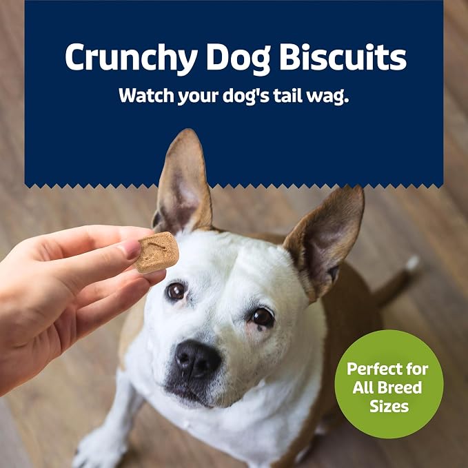 Blue Buffalo Mini Health Bars Apples & Yogurt Crunchy Dog Biscuits, Bite-Sized for Training, Oven-Baked with Real Apples & Natural Ingredients, Healthy Dog Treats, Box 2 lbs.