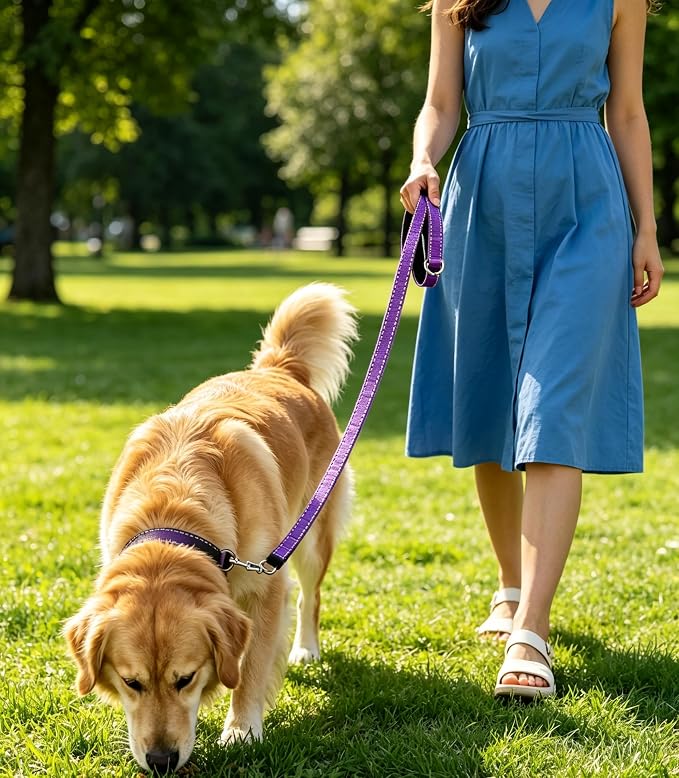 6 FT Reflective Dog Leash, Nylon Heavy Duty Leashes with Soft Padded Handle for Small Medium Large Dogs Walking, 1 Inch Wide Purple
